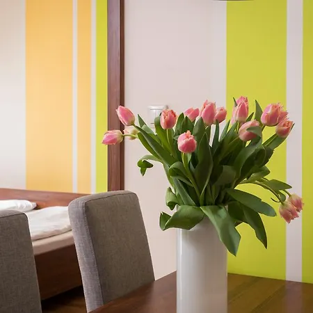 Cztery Pory Roku, Sun & Snow * Jastrzębia Góra